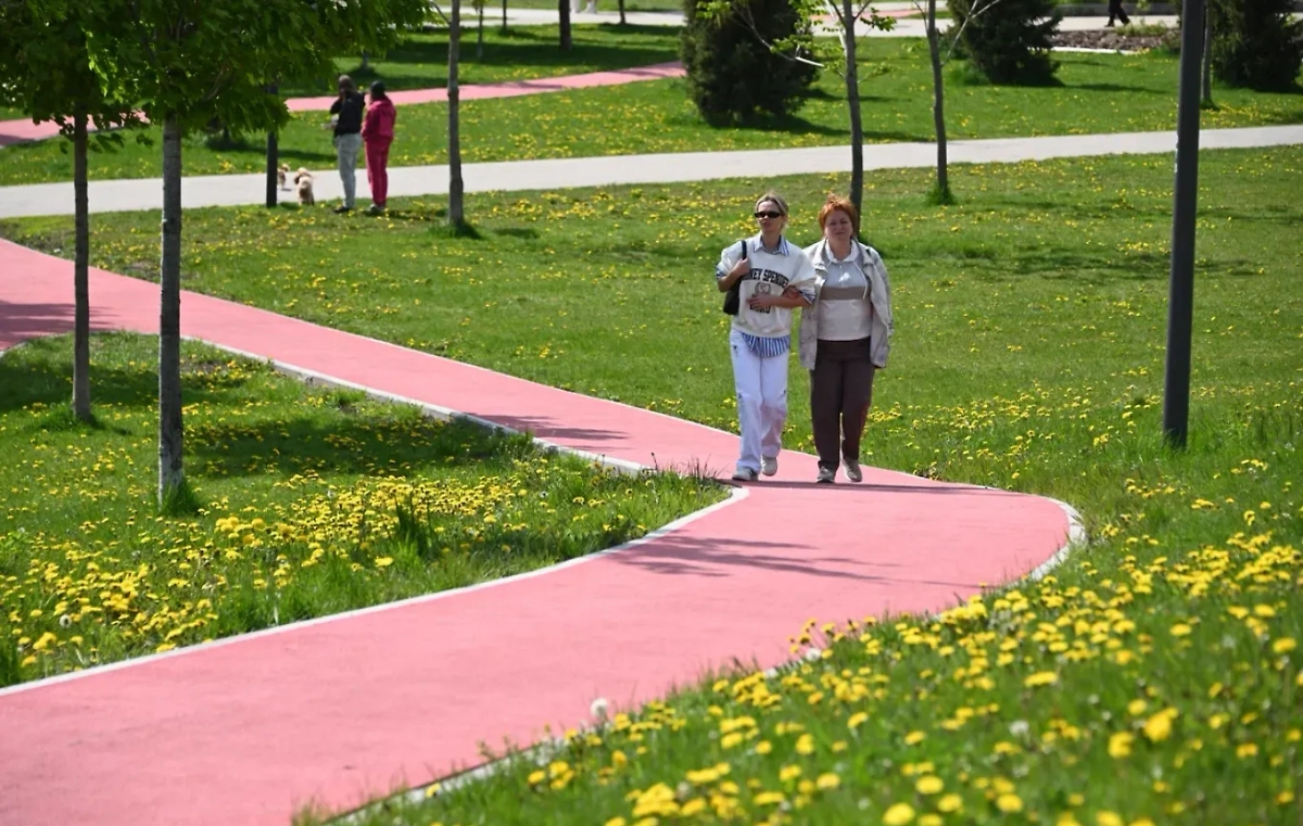 Обложка © Life.ru