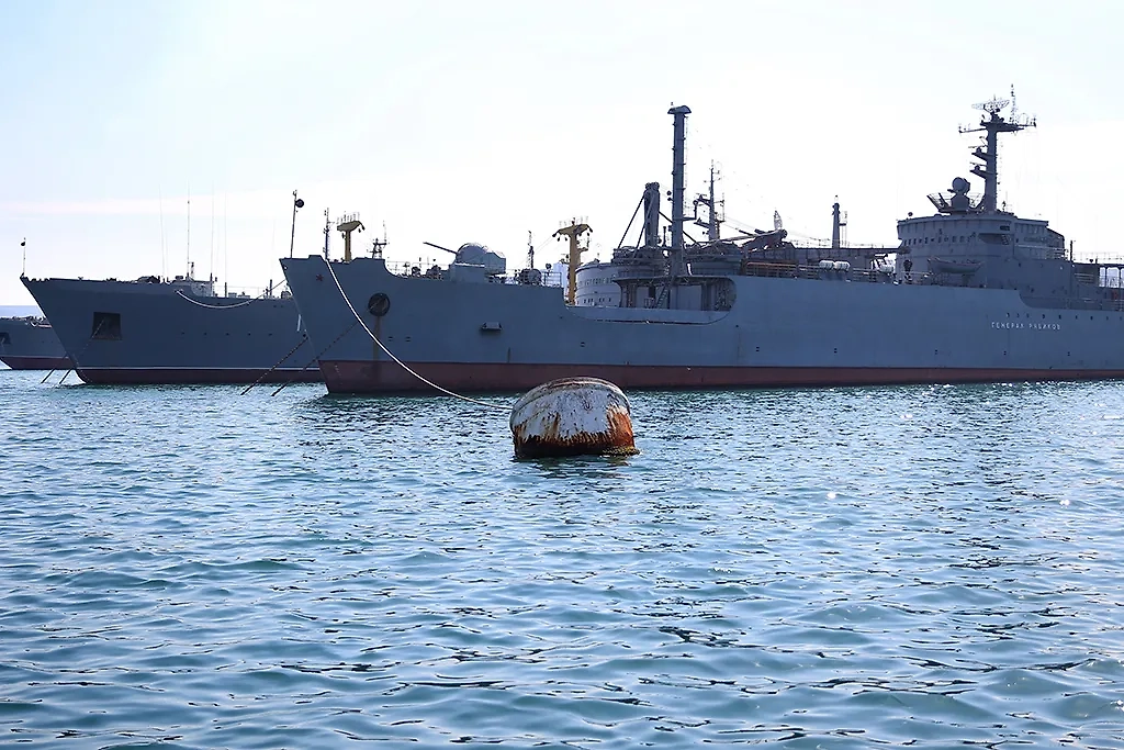 Обложка © ТАСС / Валерий Шарифулин