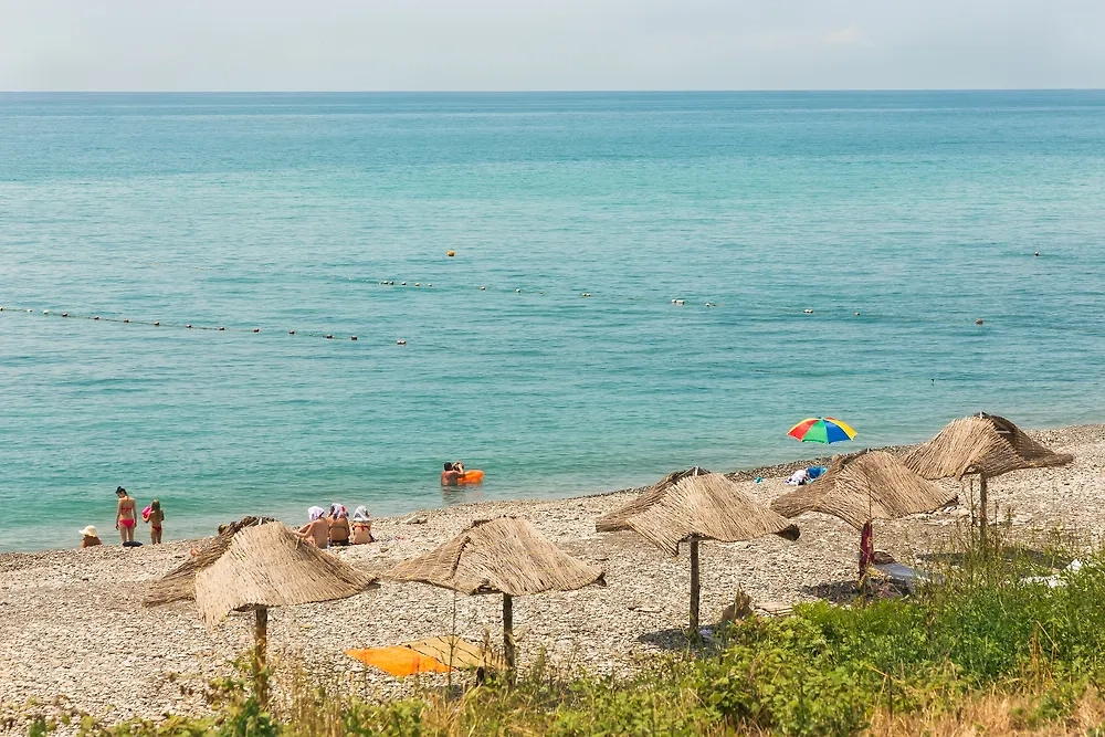 Обложка © Shutterstock / FOTODOM / kuzsvetlaya