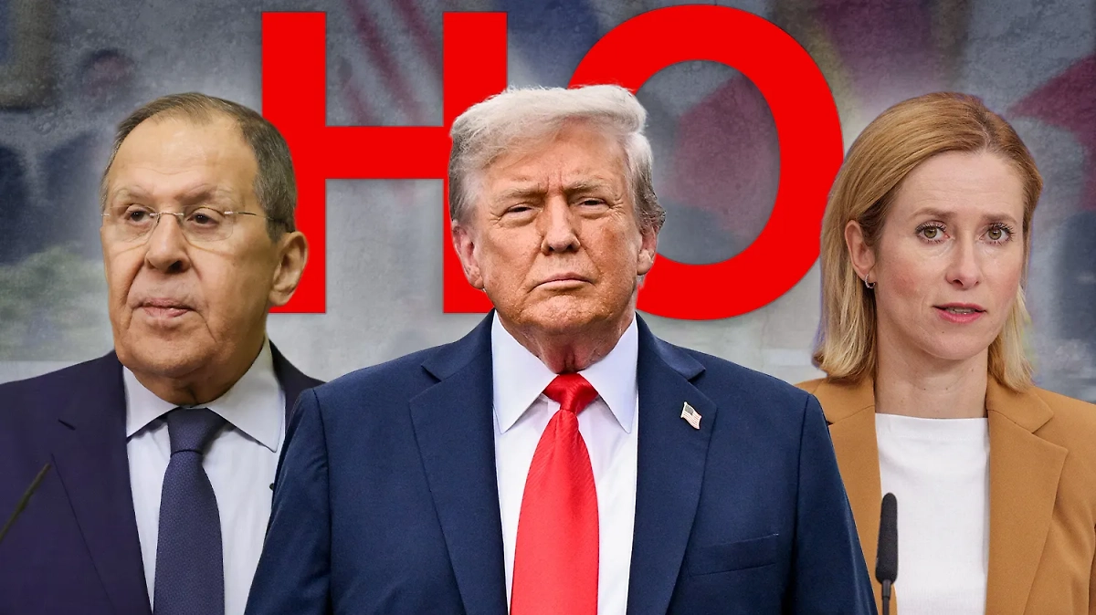 «Мистер Но» против секты свидетелей договорняка. Коллаж © Life.ru. Обложка © ТАСС / Владимир Гердо, OLIVIER MATTHYS, Сергей Бобылев, Alex Brandon