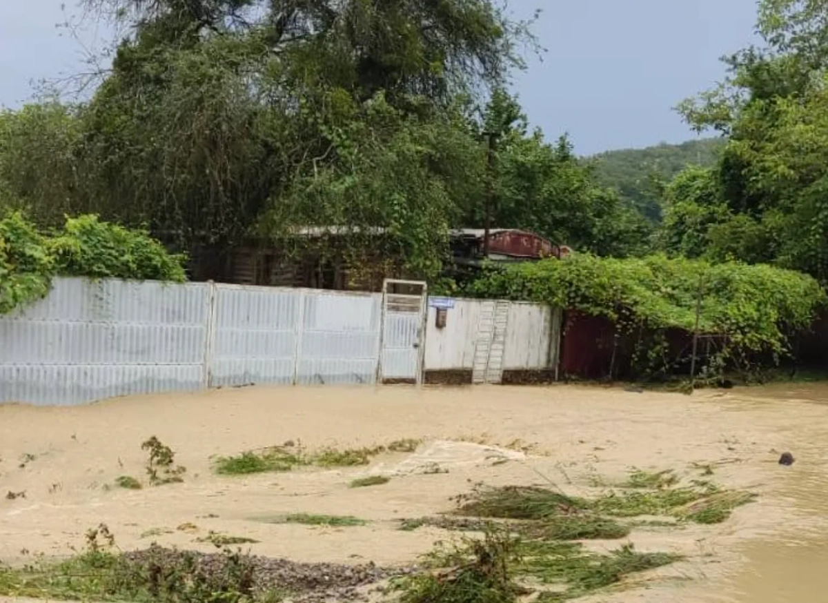 Обложка © VK / Краснодар сегодня