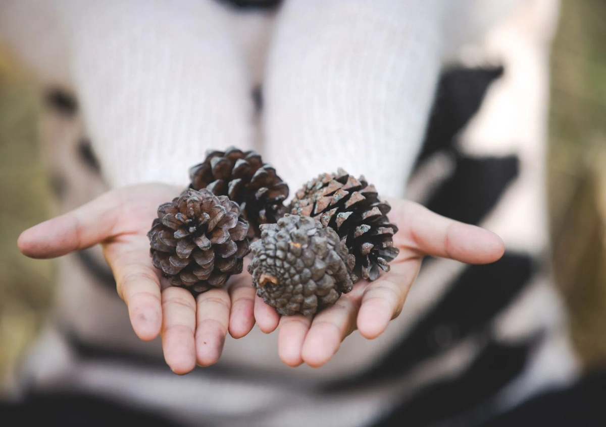 Обложка © freepik / jcomp