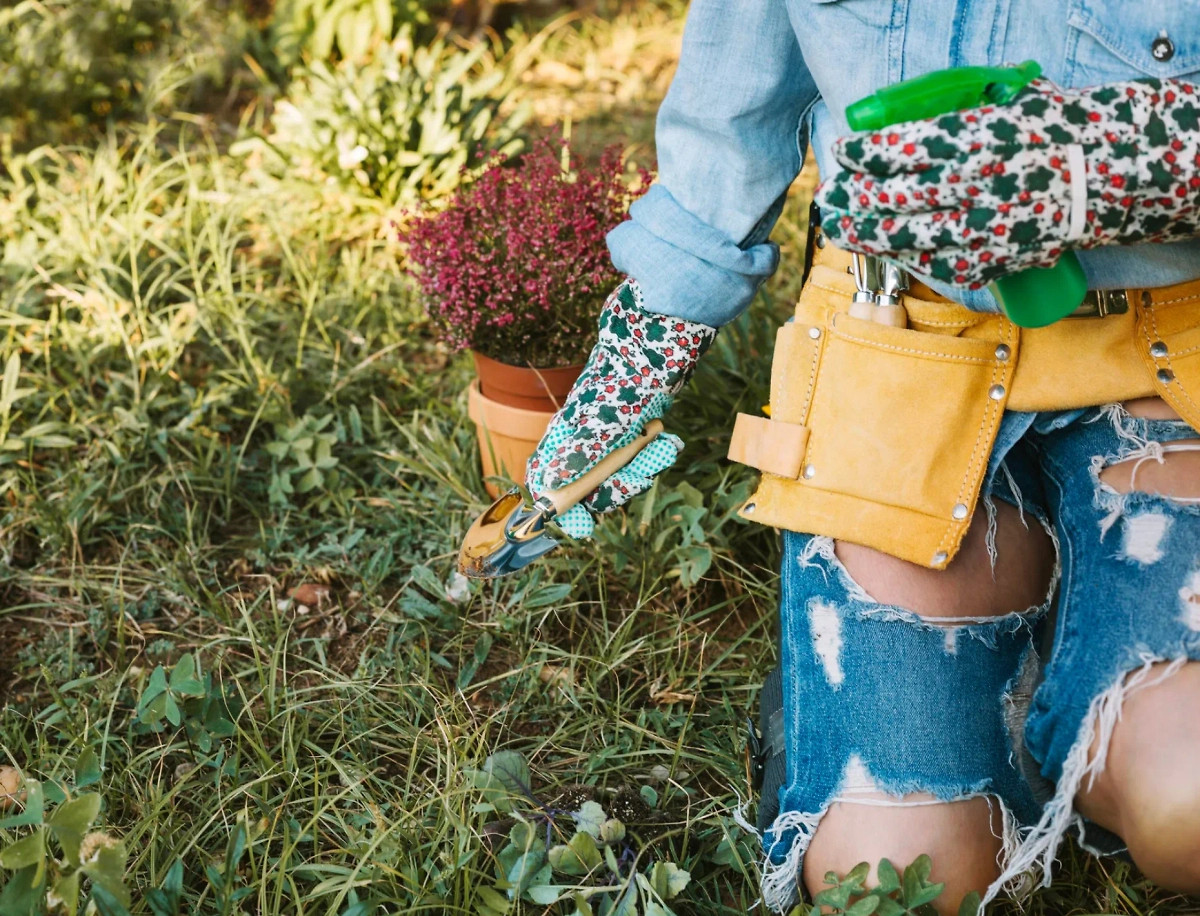 Обложка © freepik