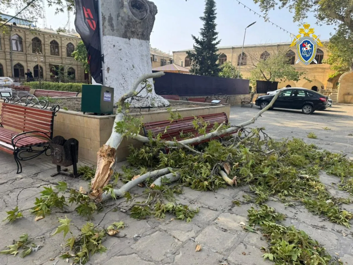 Обложка © Telegram / СУ СК России по Республике Дагестан