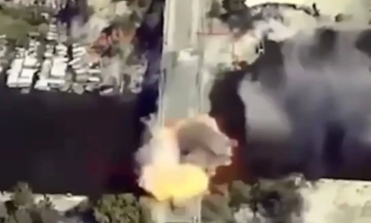 Обложка © Telegram / Kotsnews 