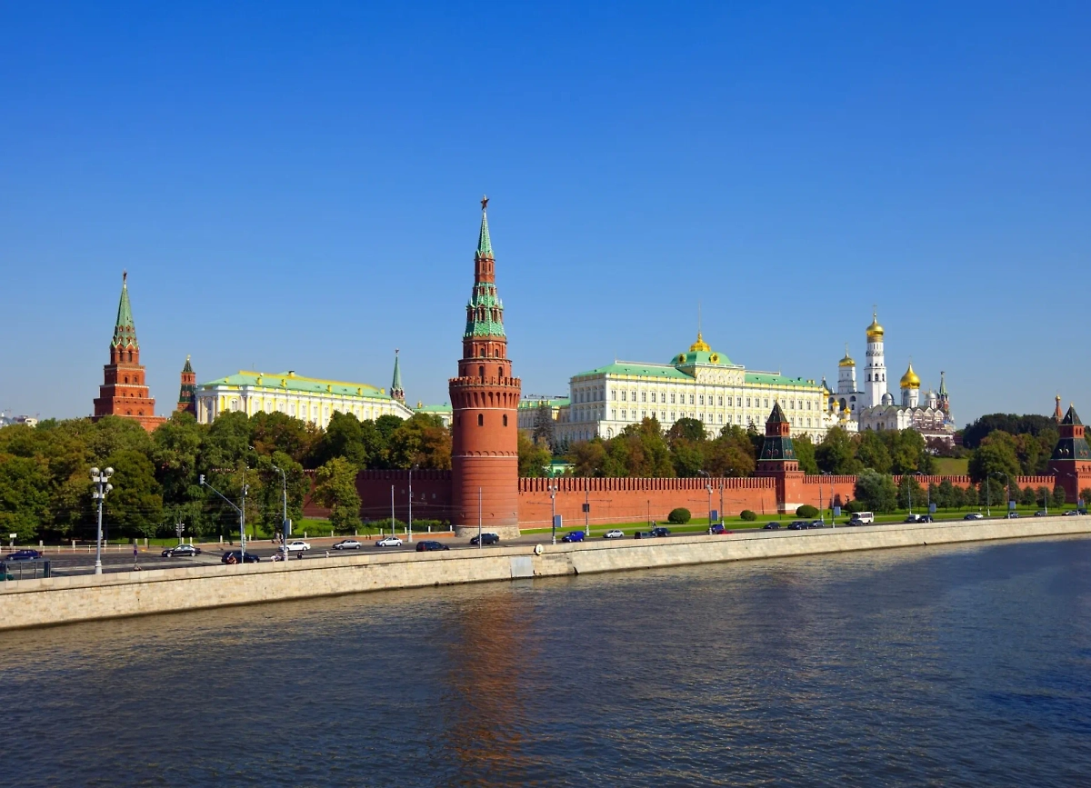 Обложка © freepik / bearfotos