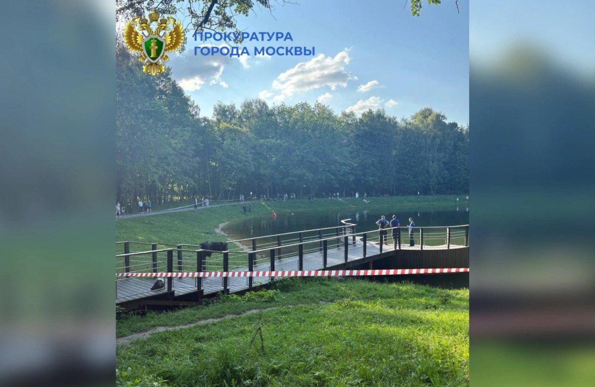 Обложка © Telegram / Прокуратура Москвы