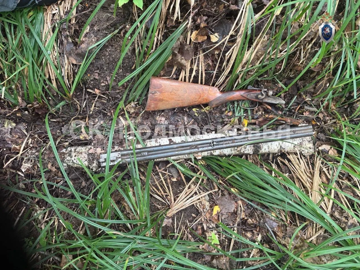 Орудие убийства. Обложка © Telegram / СК Подмосковья