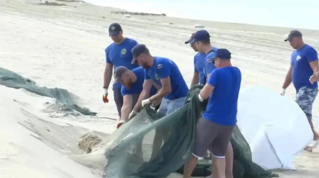 Обложка © Telegram/ Оперативный штаб — Краснодарский край