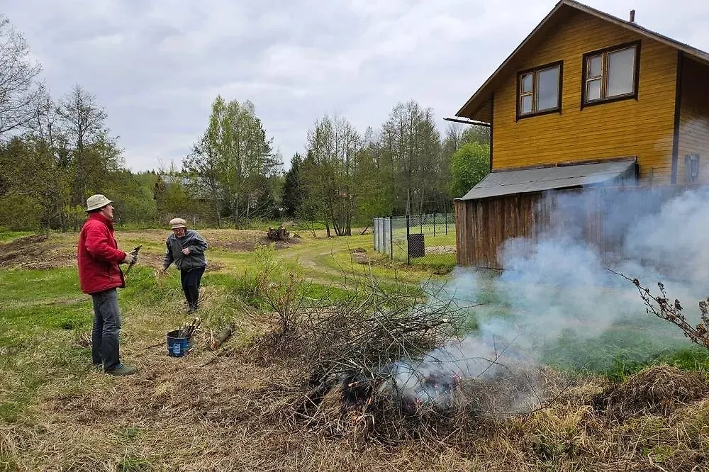 Обложка © Shutterstock / FOTODOM / Pavel L Photo and Video