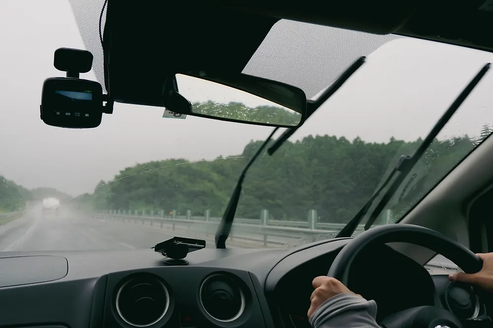 Обложка © Shutterstock / FOTODOM /beeboys