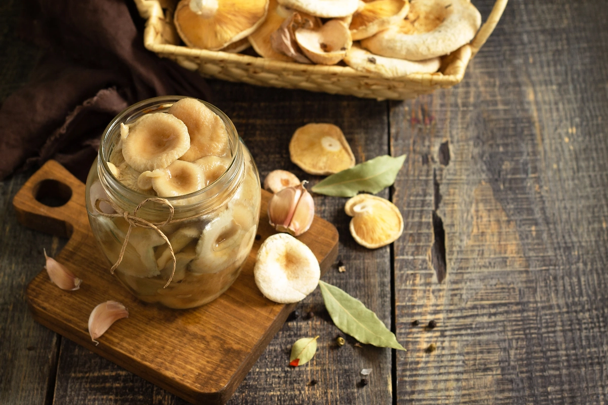 Обложка ©Shutterstock / FOTODOM / Elena Hramova