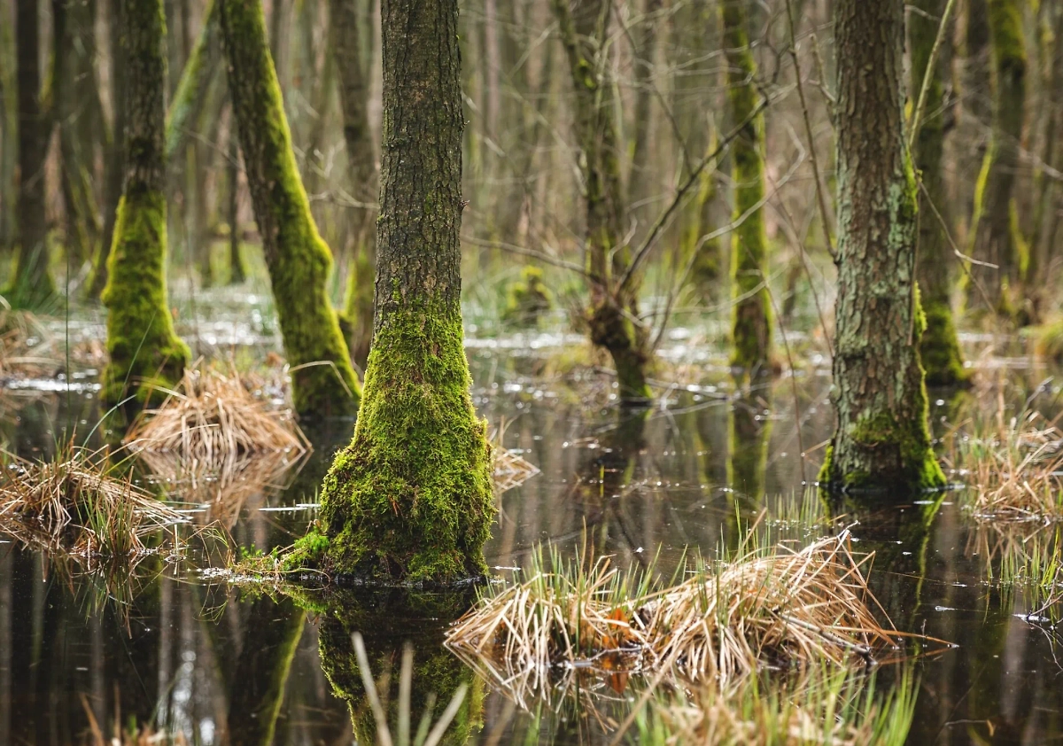 Обложка © freepik