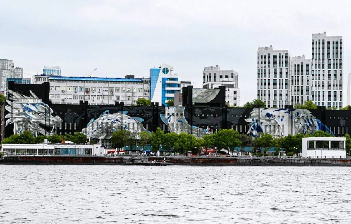 Обложка © Telegram / Администрация Владивостока