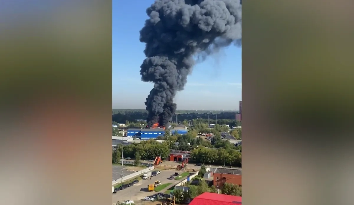 Обложка © Телеграм / ru_balashiha