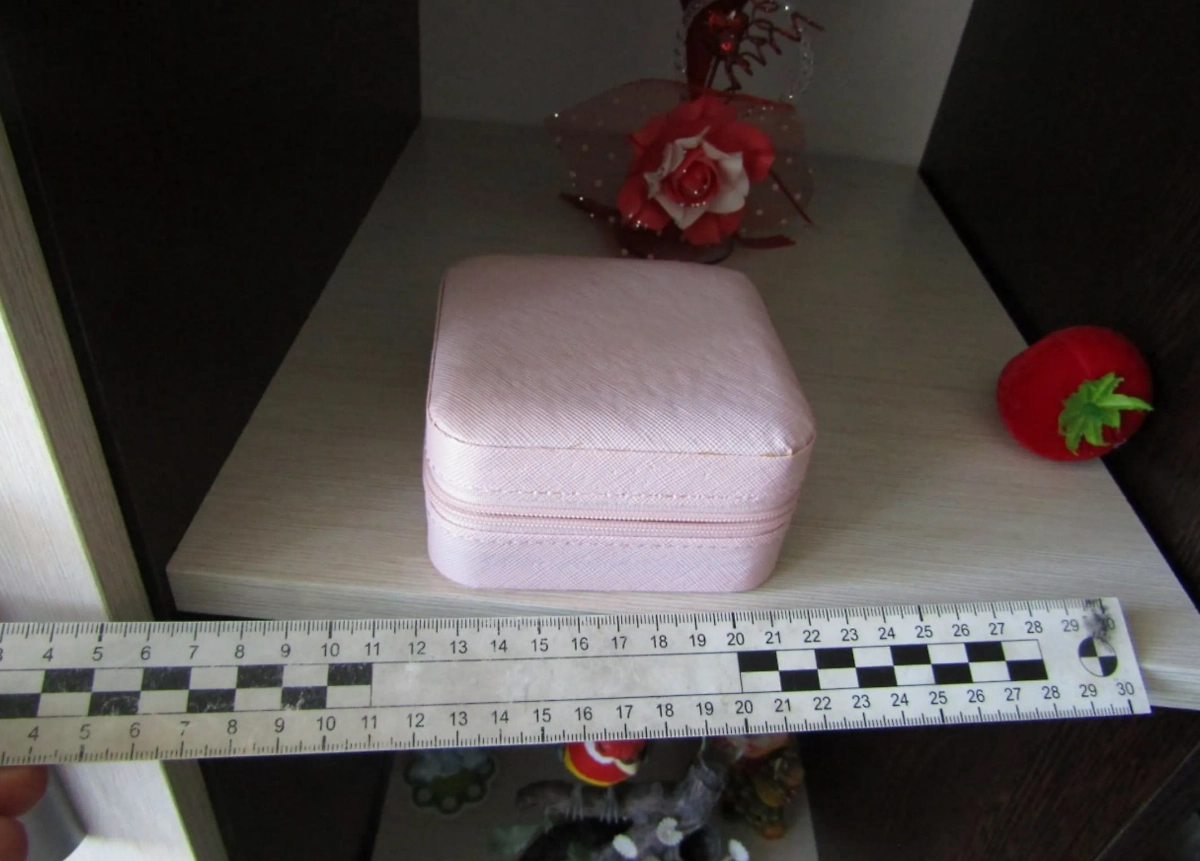 Украденные вещи. Фото © Telegram / МВД 24