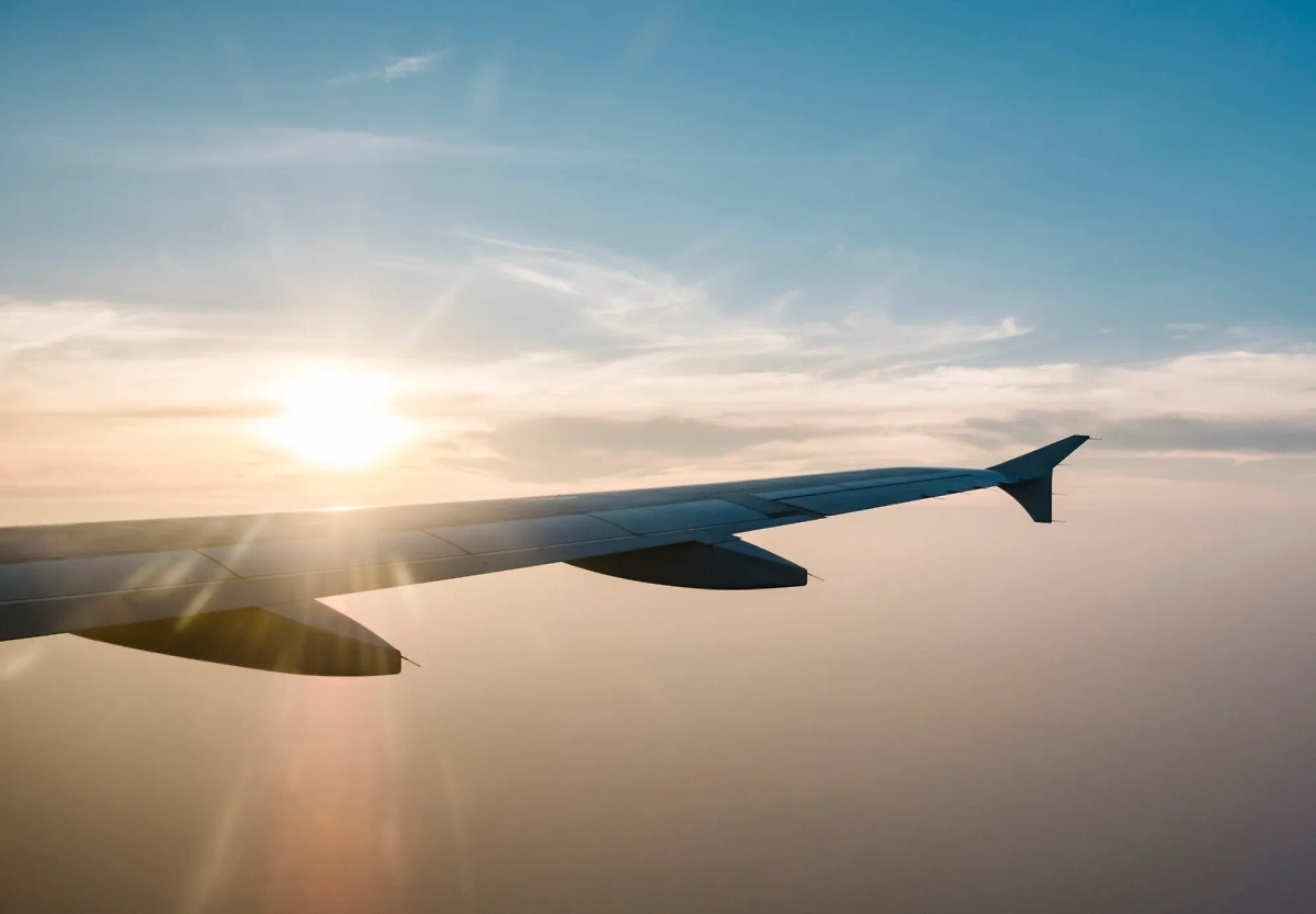 Обложка © freepik / jcomp