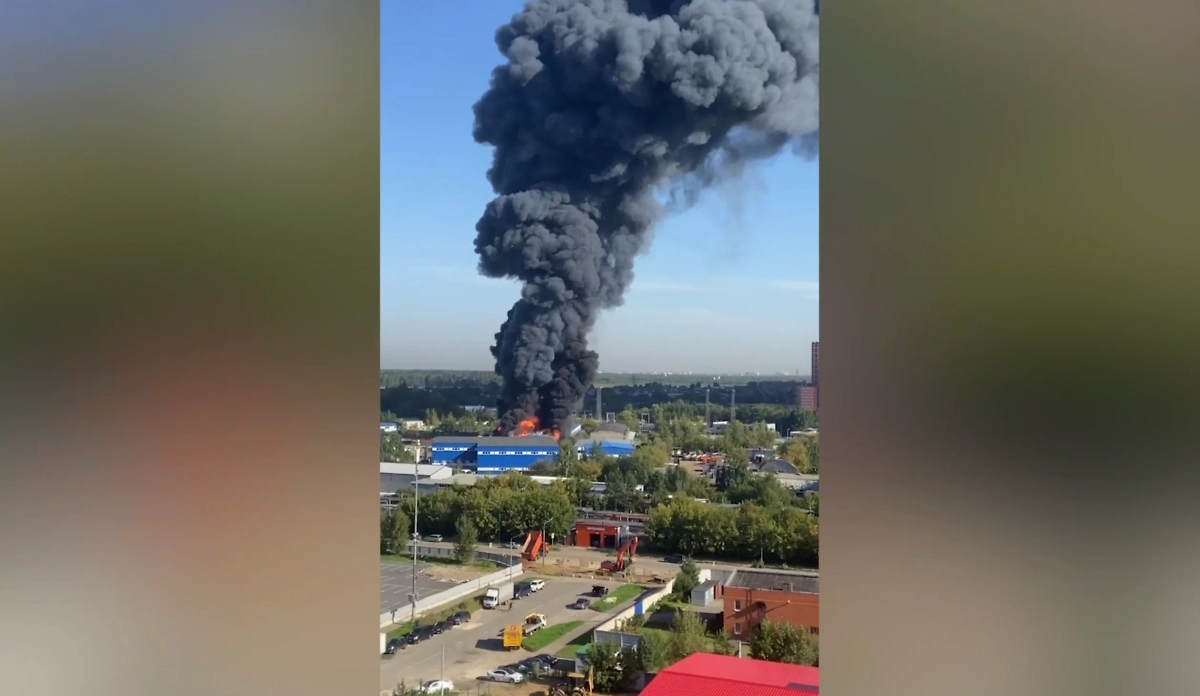 Обложка © Телеграм / ru_balashiha