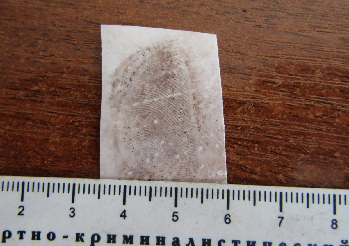 Отпечатки пальцев преступницы. Фото © Telegram / МВД 24