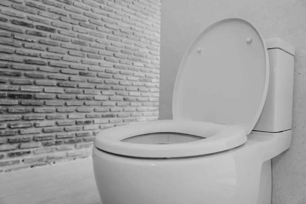 Обложка © freepik/lifeforstock