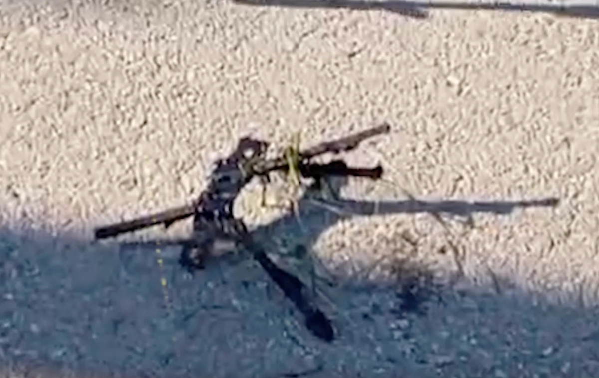 Сбитый дрон ВСУ. Обложка © Telegram / Настоящий Гладков 