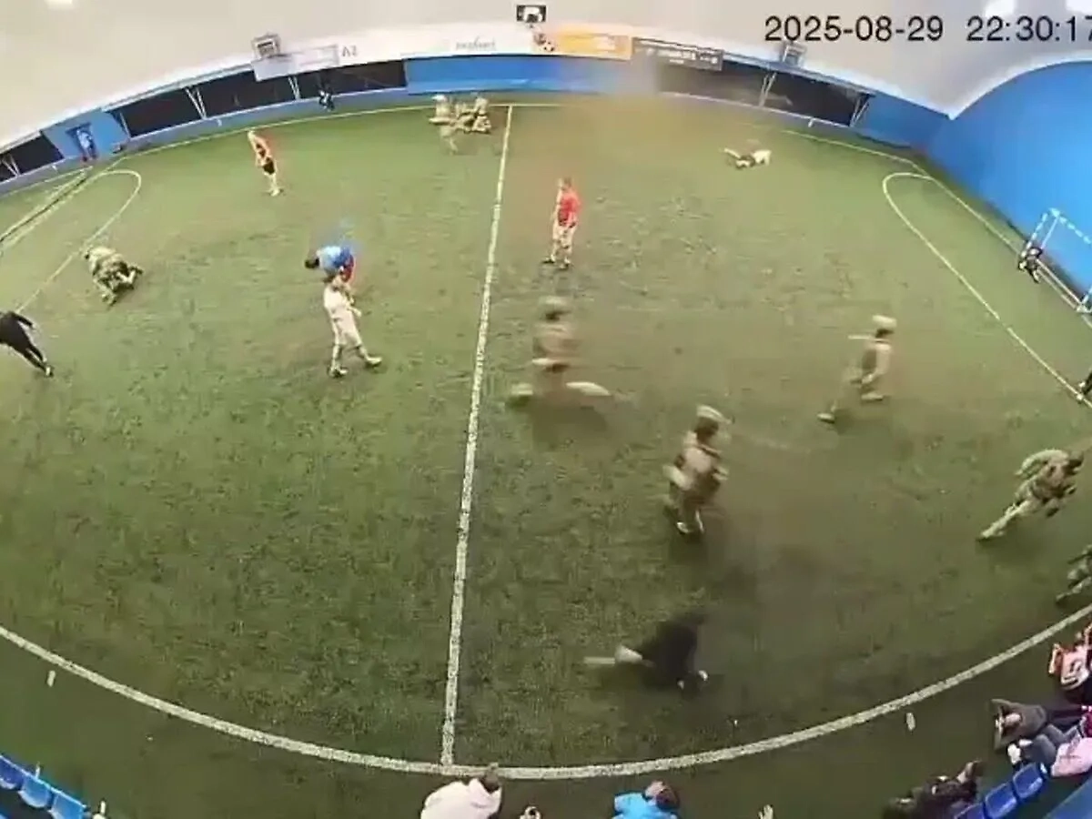 Обложка © VK / Нина Орлова