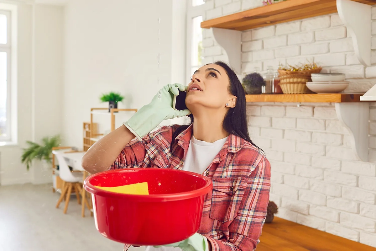 Что делать, если залили соседи, — куда обращаться в 2025 году. Обложка © Shutterstock / FOTODOM / Studio Romantic