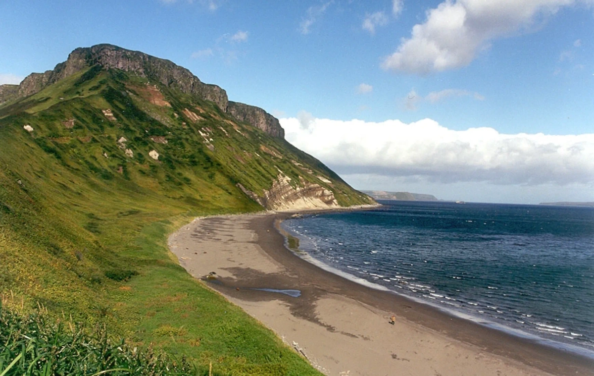 Обложка © Wikipedia