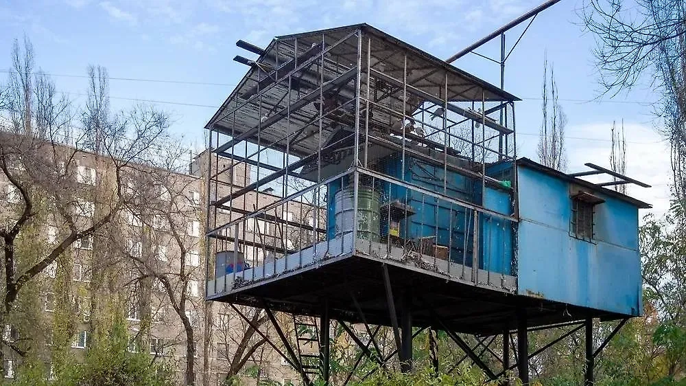 Обложка © Shutterstock / FOTODOM / VPales