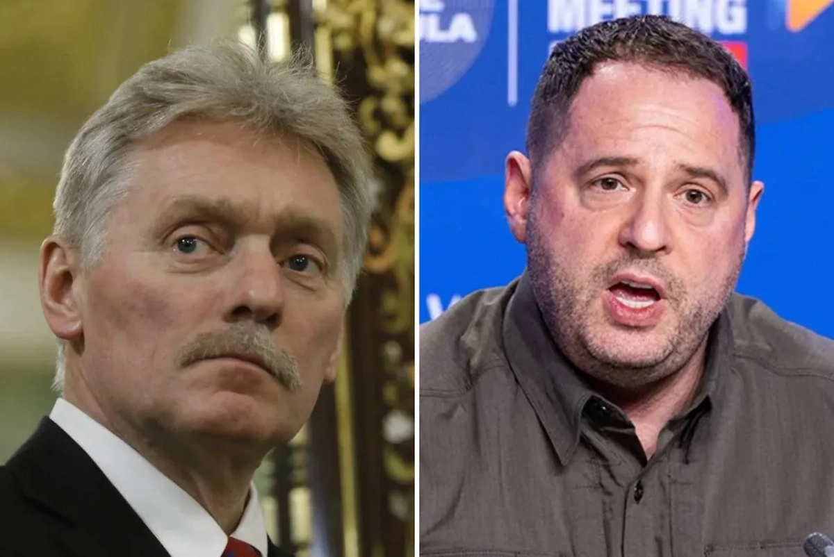 Обложка © Life.ru, © ТАСС / Hannes P Albert