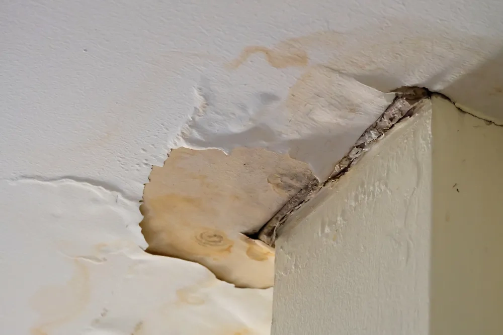 Обложка © Shutterstock / FOTODOM / Freedom365day