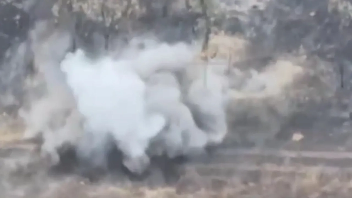 Обложка © Mash