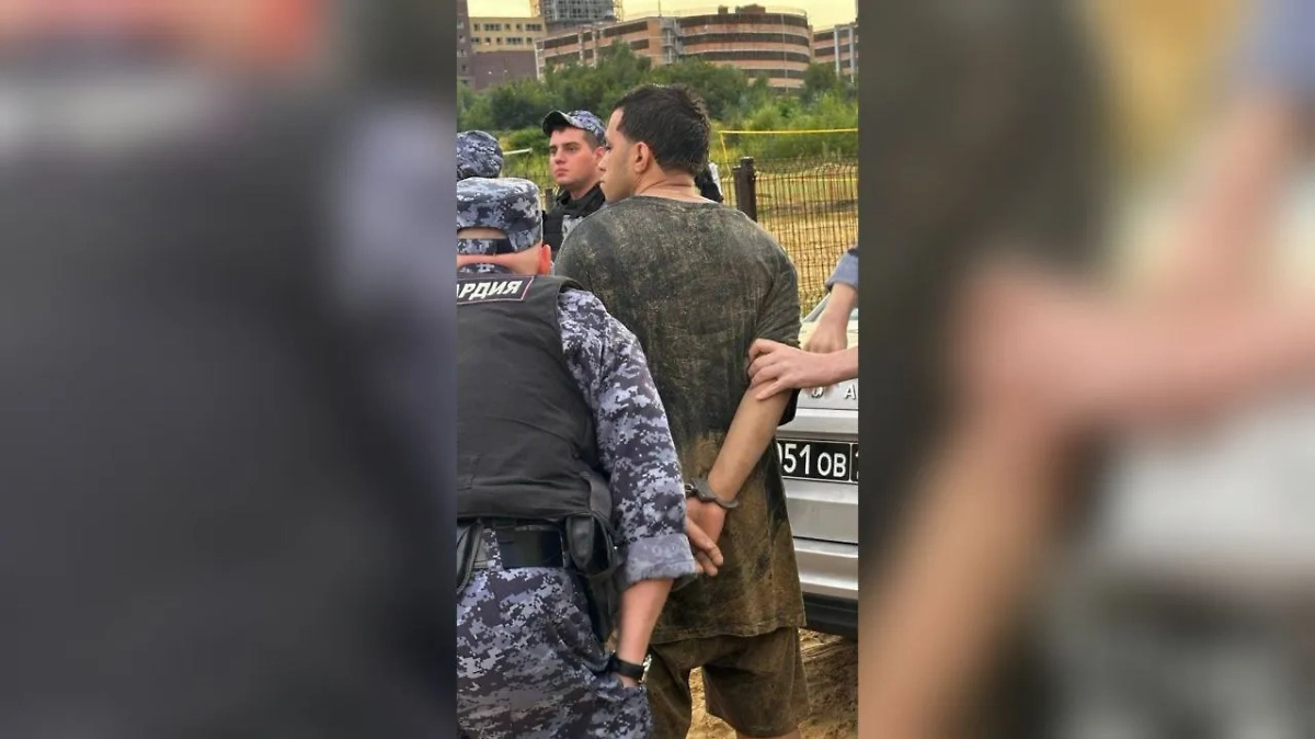 Обложка © VK / Московская область 24 