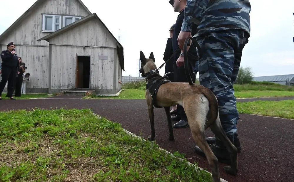 Обложка © Life.ru