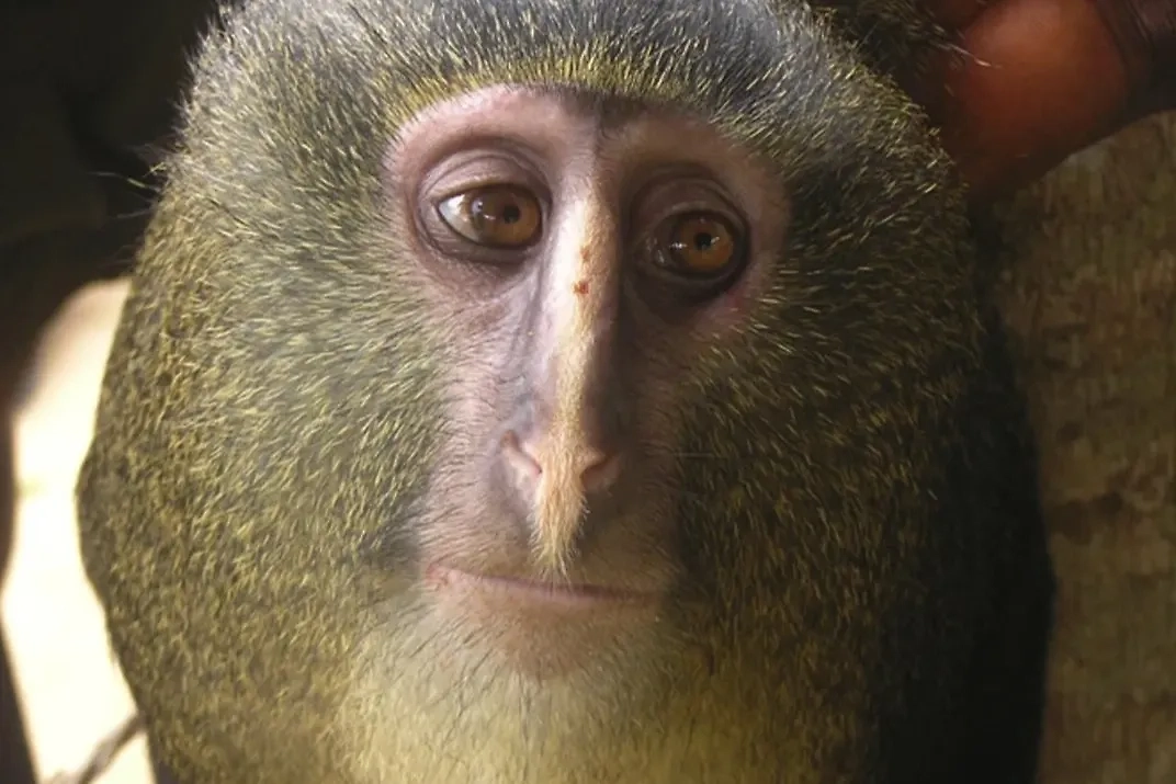 Если в детстве вы боялись логотипа телекомпании «Вид», то это ваш клиент. Фото © Wikipedia / Hart JA