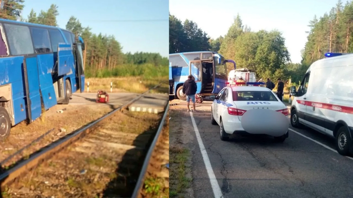 Число пострадавших после столкновения автобуса с поездом в Ленобласти выросло до 16. Обложка © Telegram / Северо-Западная транспортная прокуратура