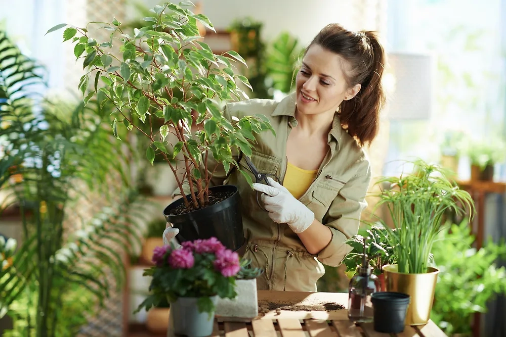 Обложка © Shutterstock / FOTODOM / Alliance Images