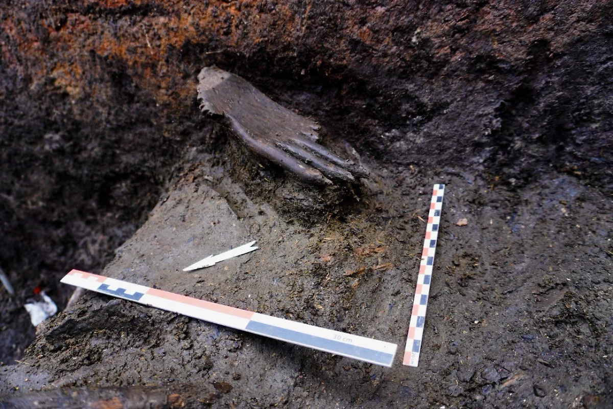 В Смоленской области найдена деревянная кисть каменного века. Обложка © Telegram /Эрмитаж