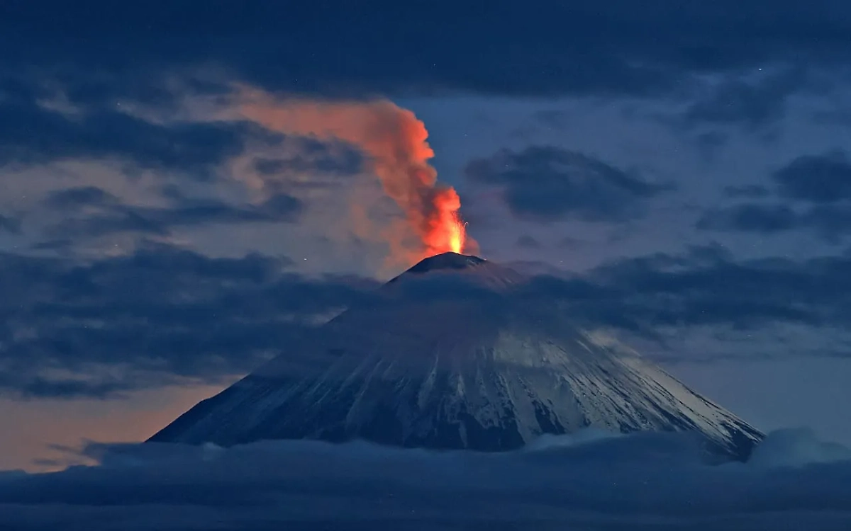 Обложка © Telegram / ИВиС ДВО РАН / Юрий Демянчук