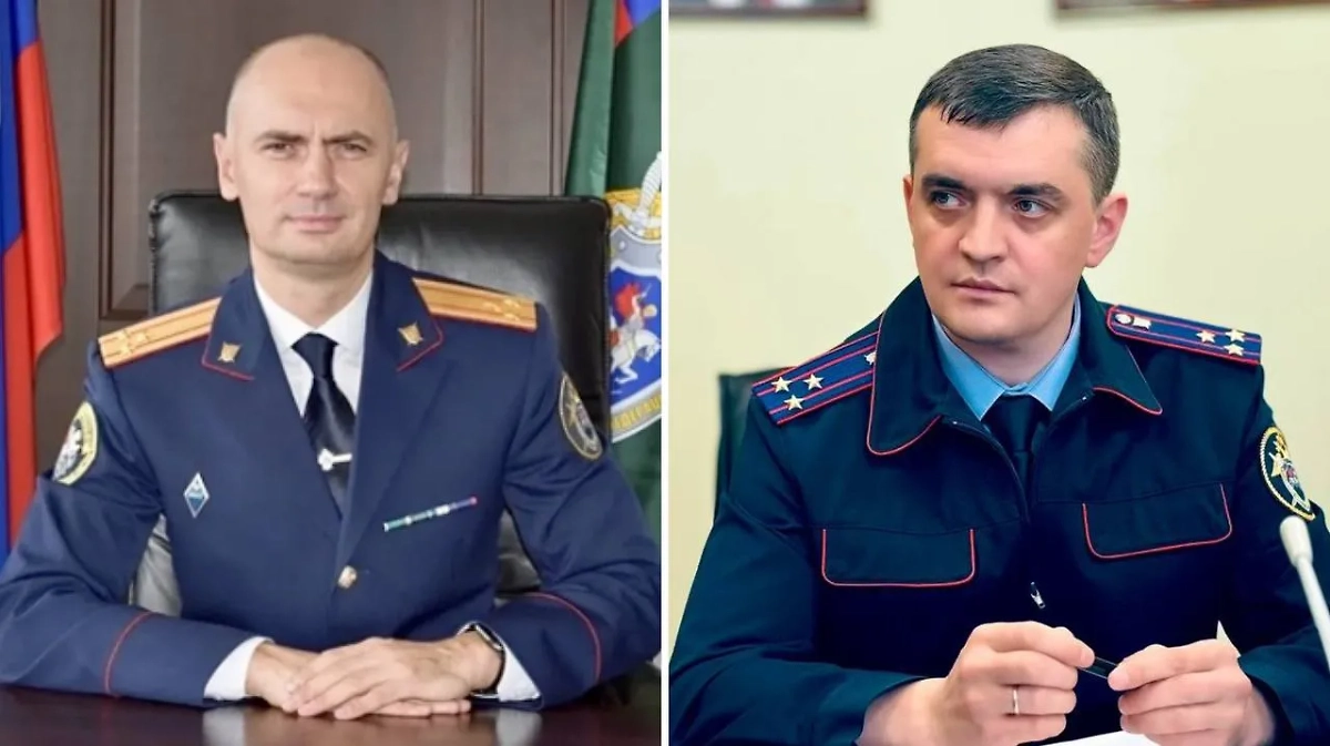 Сергей Степанов, Андрей Степанов. Обложка © kurgan.sledcom.ru / Telegram / Карельский Следком