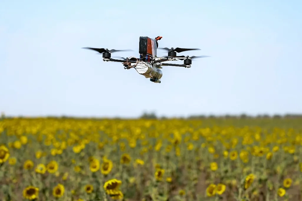 Обложка © ТАСС / Алексей Коновалов