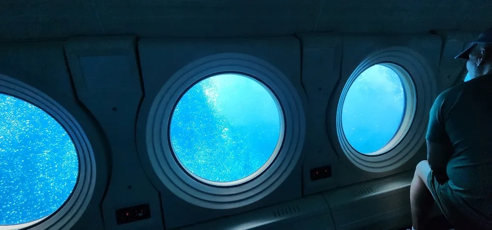 Обложка © Shutterstock / FOTODOM /MaksimZ12