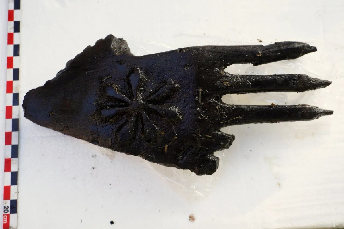 В Смоленской области найдена деревянная кисть каменного века. Фото © Telegram /Эрмитаж