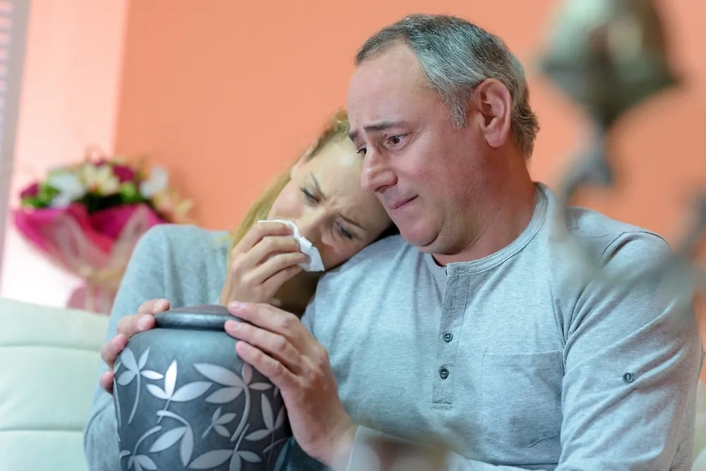 Обложка © Shutterstock / FOTODOM / ALPA PROD