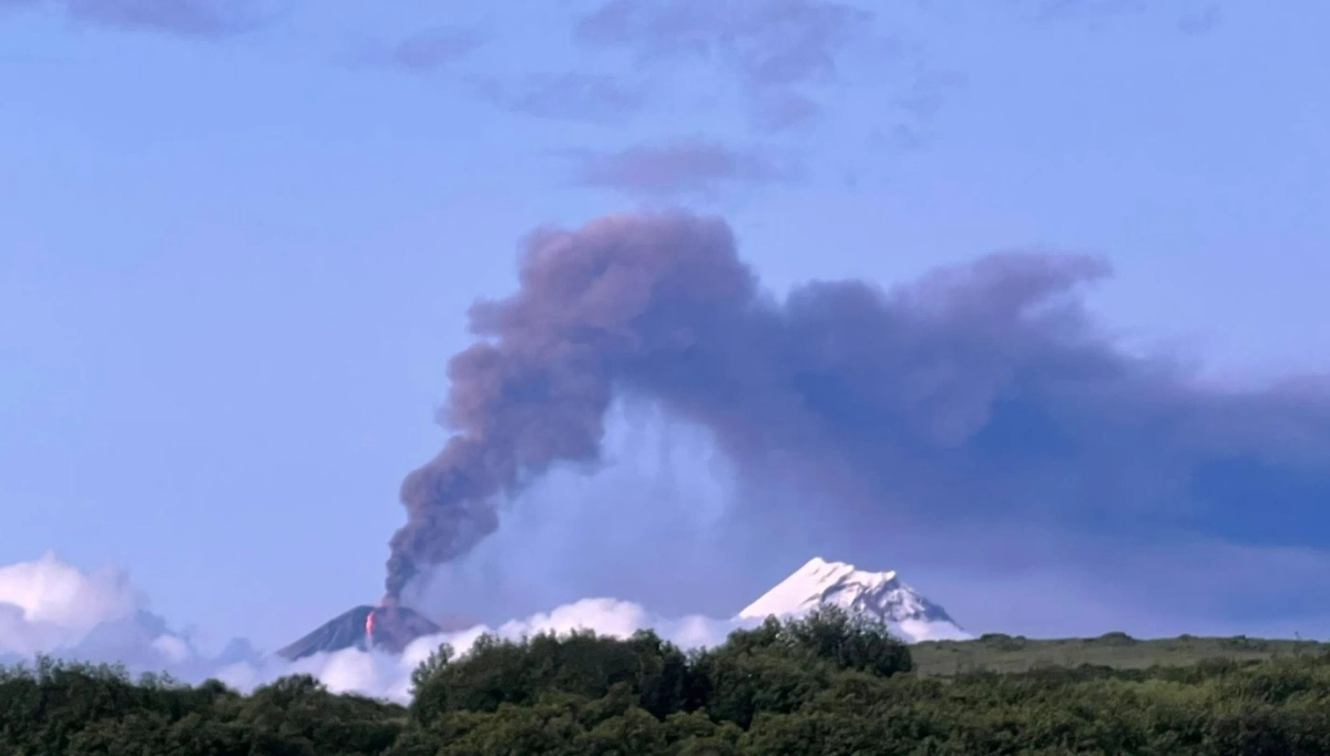 Обложка © Telegram / ГУ МЧС России по Камчатскому краю