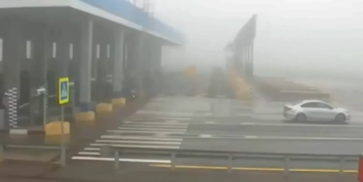 Обложка © Telegram-канал Myslo