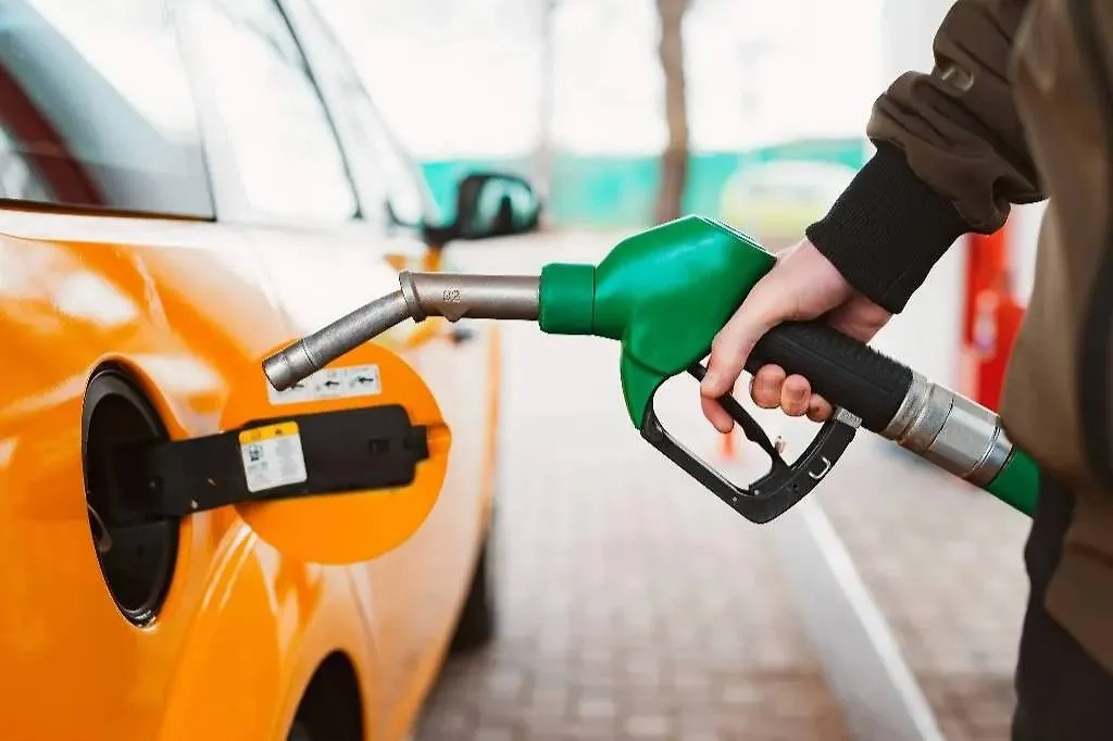 Обложка © Shutterstock / FOTODOM / Juliya Shangarey