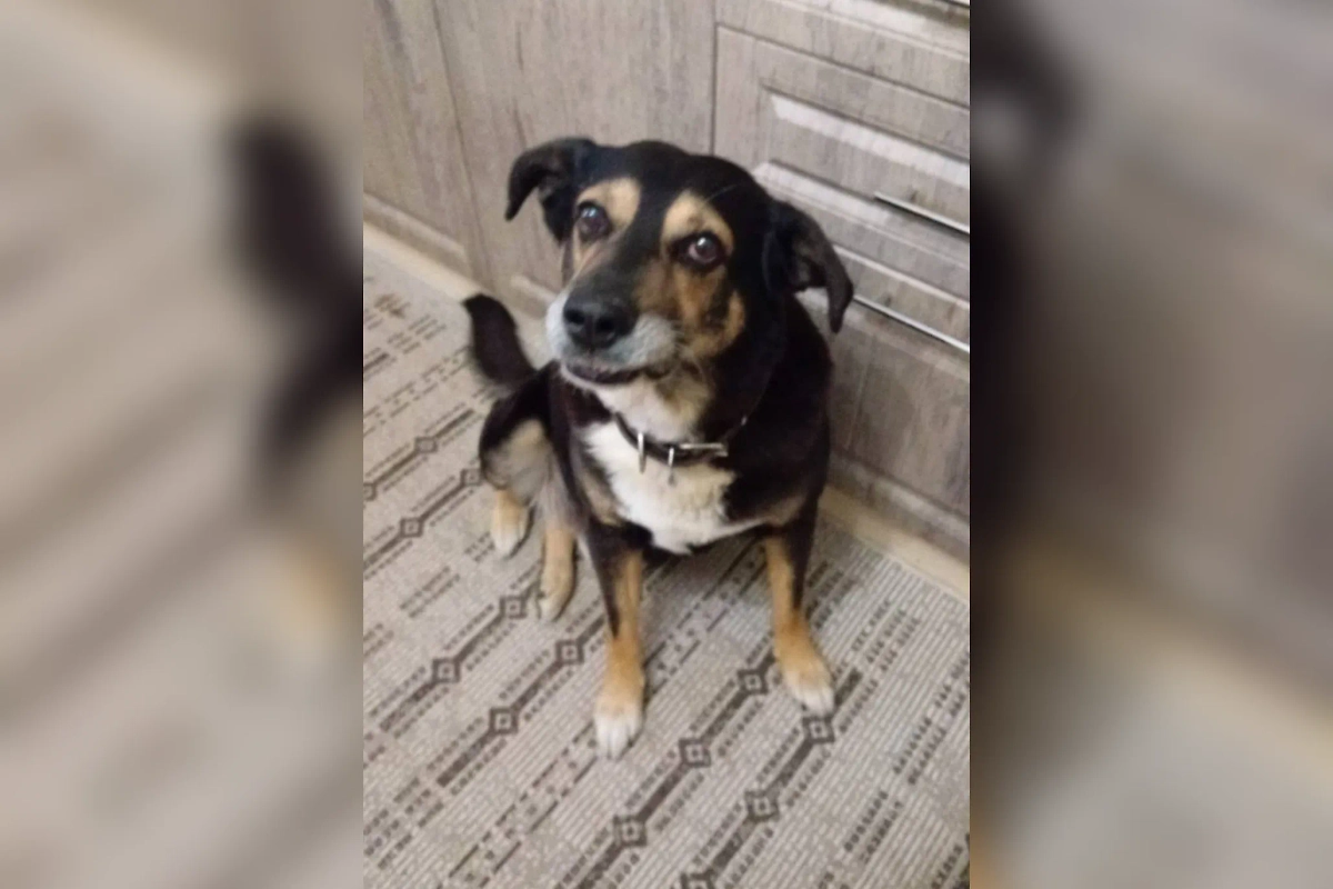 Фото © из личного архива Ирины Владимировны