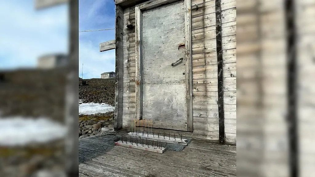 Пункт выдачи. Обложка © Отделение почтовой связи Бухта Тихая — о. Гукера Земля Франца-Иосифа