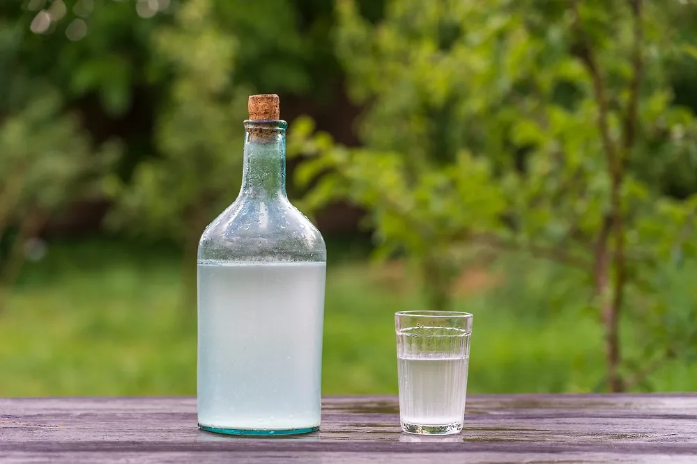 Обложка © Shutterstock / FOTODOM / OlegD